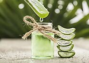 Aloe Vera Juice Health Benefits: The Right Way To Drink Aloe Vera Juice And 6 Benefits - Aloe Vera Juice Benefits: एल...