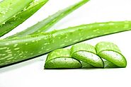 Unleash the Benefits of Aloe Vera Natural Soap | Soap.Club