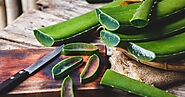 How to Use Aloe Vera Plant: Benefits, Risks, and More