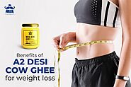 Benefits of A2 Desi Cow Ghee for weight loss | Mr.Milk