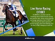 Live Horse Racing Citibet