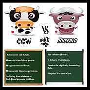 Difference Between Cow Milk and Buffalo Milk (With Table) - Ask Any Difference