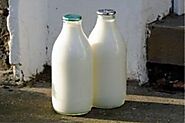 Vrindavan Farms - Buffalo Milk vs. Cow Milk