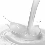 Buffalo Milk at Best Price in India