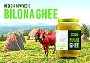 How to make desi cow ghee by traditional Ayurvedic Bilona process?