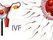 Low Cost IVF in Ahmedabad | Best IVF Hospital: Ahmedabad, Gujarat