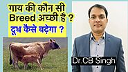 Best Cow Breed in India | गाय की सबसे अच्छी नस्ल | Cow breed for Dairy Farming | Dairy Ustaad