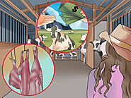 How to Start a Dairy Farm: 15 Steps (with Pictures) - wikiHow