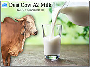 Benefits Of Drinking Pure Desi Cow A2 Milk