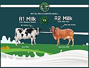 What is Difference between A1 & A2 Milk - GirOrganic