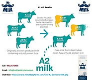 Website at https://www.mittaldairyfarms.com/blog/2019/08/19/the-top-5-reasons-to-consume-a2-milk/