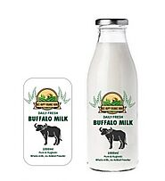 A2 Cow Milk – Milky