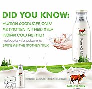 Buy Pure Desi Gir Cow A2 Milk in Hyderabad Home Delivery |