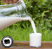 Farm Fresh Cow Milk, A2 Desi Cow Milk, Cow Milk Chennai