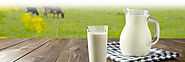 Naturally Protein Riched A2 Milk in Navi Mumbai | Dairy Dreamers