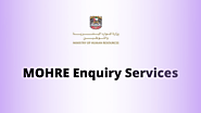 Know in detail about MOHRE Enquiry Services