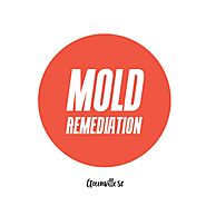Greenville Mold Pros Remediation And Inspection Greenville | Seed&Spark