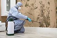 Mold Remediation from the Job Set - Mold Removal Expert