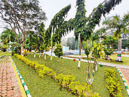 Vanya Resort is one of the Best Resorts Near Kanha National Park with best services.