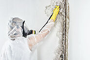 Mold Inspection | Pillar Home Inspections