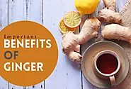 Important Benefits Of Ginger - Get Into Regular Life For Healthiness