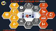 Best ERP Software For Human Resource Management System