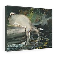Deer Drinking (1892) by Winslow Homer – Stretched Canvas