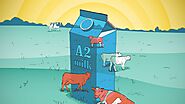 Five things everyone should know about...A2 milk