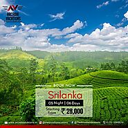 Get Great Deals on Sri Lanka Honeymoon Packages | Arcadia Vacation
