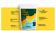 Shop Organic Vegan Protein Powder At Affordable Rates From Cafoco