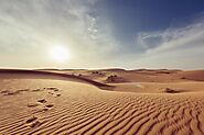 Dune Bashing