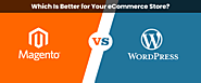 Magento vs WordPress: Which One Is Right for eCommerce Store