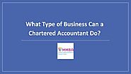 PPT - What Type of Business Can a Chartered Accountant Do?