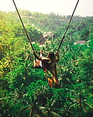 Jungle Swing