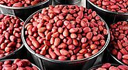 Different types of groundnuts exporter | AgroCrops
