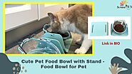 Cute Pet Food Bowl with Stand - Food bowls for Pet