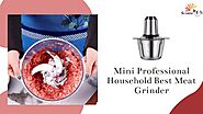 Mini Professional Household Best Meat Grinder
