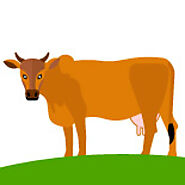 Desi Dairy – Pure Desi Cow A2 Milk At your doorsteps in Meerut