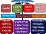 Toxicity profile of honey and ghee, when taken together in equal ratio - ScienceDirect