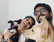 Pets Boarding Services in India - Snouters