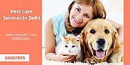 Best Pets Care Service in Delhi with Best Price