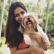Pet Boarding Service in Bangalore at Affordable price on Snouters