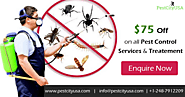 Bed Bug Exterminator Detroit MI - Pest City USA