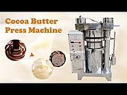 Cutting-Edge Hydraulic Cocoa Butter Cold Press Machine | How To Make Cocoa Oil From Cocoa Paste?