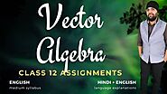 Vector Algebra Class 12 Assignments