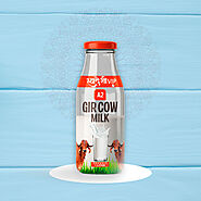 Gir Cow A2 Milk - Swadeshi Vip