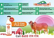 A2 Gir Cow Milk | A2 Milk in Nagpur | Desi Cow Milk in Umred, Nagpur