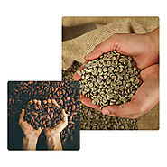 Find The Best Packaging For Coffee Beans | Ecotact Bags