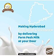 Organic And Pure Gir Cow Milk In Hyderabad , Organic And Pure Gir Cow Ghee In Hy | Hyderabad | Zamroo