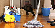 Professional Bond Cleaning Services - Brisbane's Bond Cleaning Services